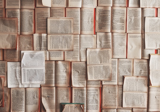 llibres vells